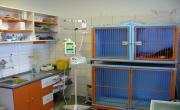 Hospitalization