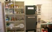 Sterilizace