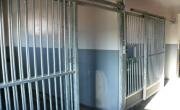 Boxes for horses